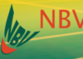 Badminton: NBV Mitgliederinfo