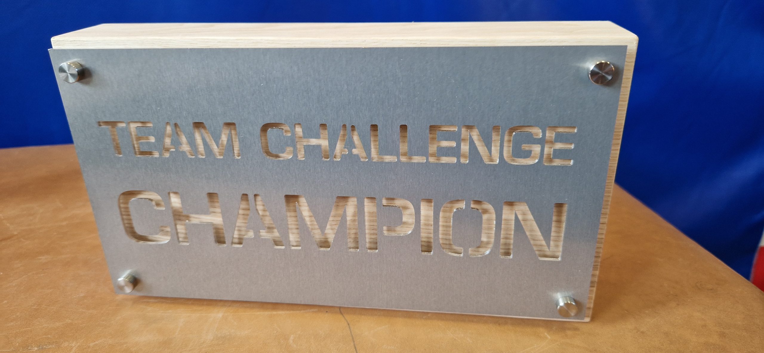 Voller Erfolg bei der ersten Badminton Team Challenge